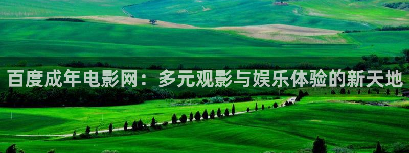 泡泡影视韩国理论片：百度成年电影网：多元观影与娱乐体验的新天地