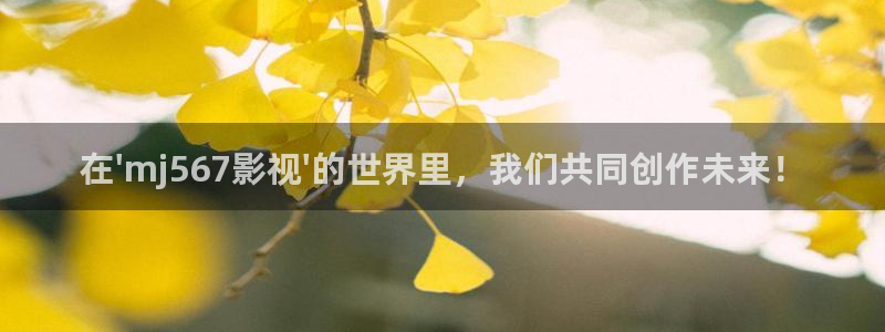 泡泡泡影视：在\'mj567影视\'的世界里，我们共同创作未来！