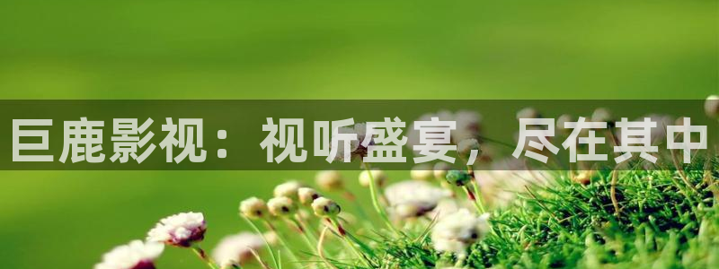 泡泡影视ios最新版：巨鹿影视：视听盛宴，尽在其中