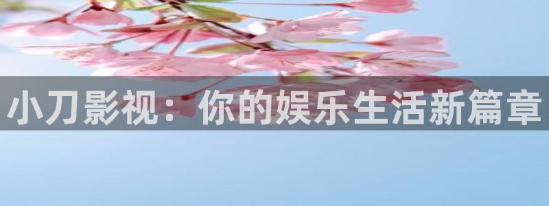 泡泡视频在线观看：小刀影视：你的娱乐生活新篇章
