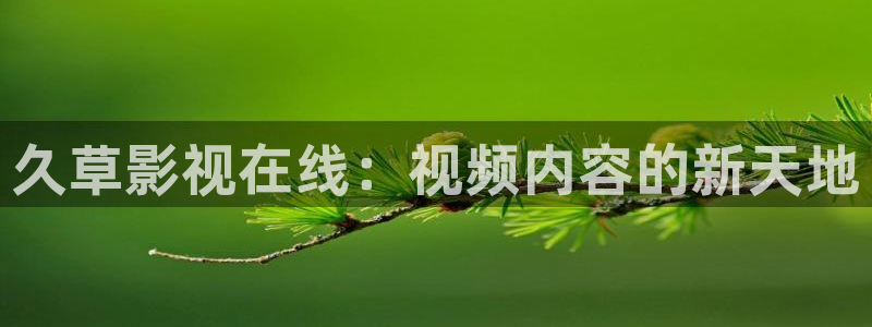 泡泡影视免费观看：久草影视在线：视频内容的新天地