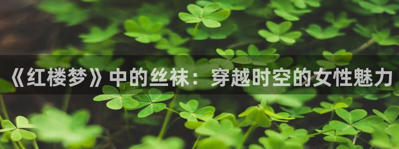 泡泡影视网电视剧大全：《红楼梦》中的丝袜：穿越时空的女性魅力