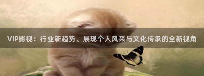 电影天堂泡泡：VIP影视：行业新趋势、展现个人风采与文化传承的全新视角