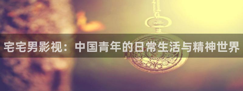 泡泡影院手机在线观看：宅宅男影视：中国青年的日常生活与精神世界