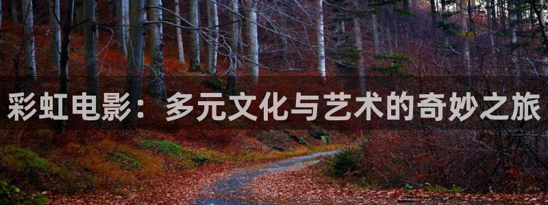 泡泡影院app官网：彩虹电影：多元文化与艺术的奇妙之旅
