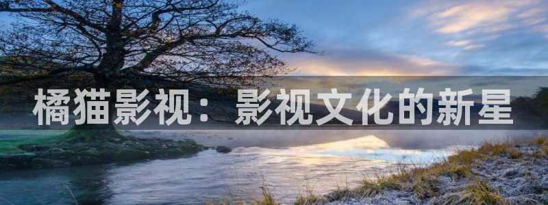 泡泡电影伦理：橘猫影视：影视文化的新星